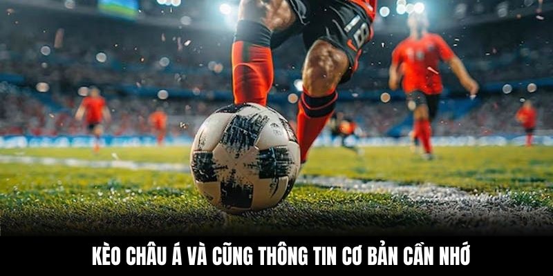 Kèo châu Á và cũng thông tin cơ bản cần nhớ