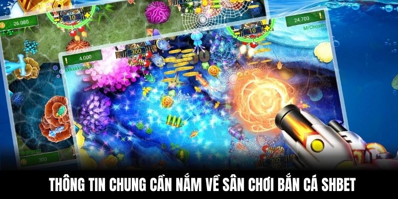 Thông tin chung cần nắm về sân chơi bắn cá Shbet